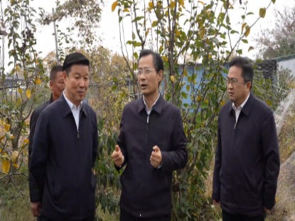 市级总林长张志强督导调研林长制工作