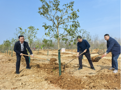 淮南市林业局组织开展2026年义务植树活动